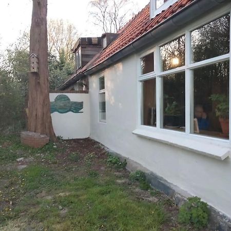Vogelvrij Villa Vierhuizen Kültér fotó