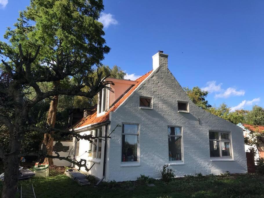 Vogelvrij Villa Vierhuizen Kültér fotó