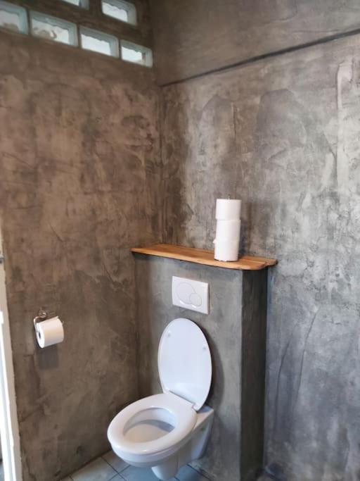 Vogelvrij Villa Vierhuizen Kültér fotó